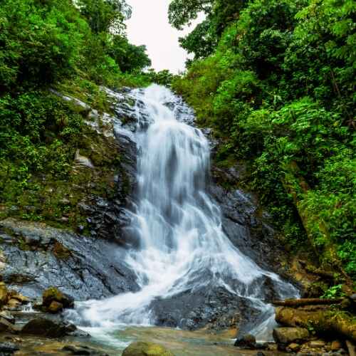 Scenic waterfall surrounded by lush green rainforest featured in a Costa Rica ecotourism guide.