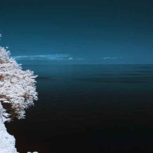 Georgia Soulful Travel Guide serene seascape with deep blue water and pale shoreline under a clear sky.